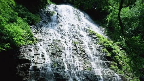 绿色智能化